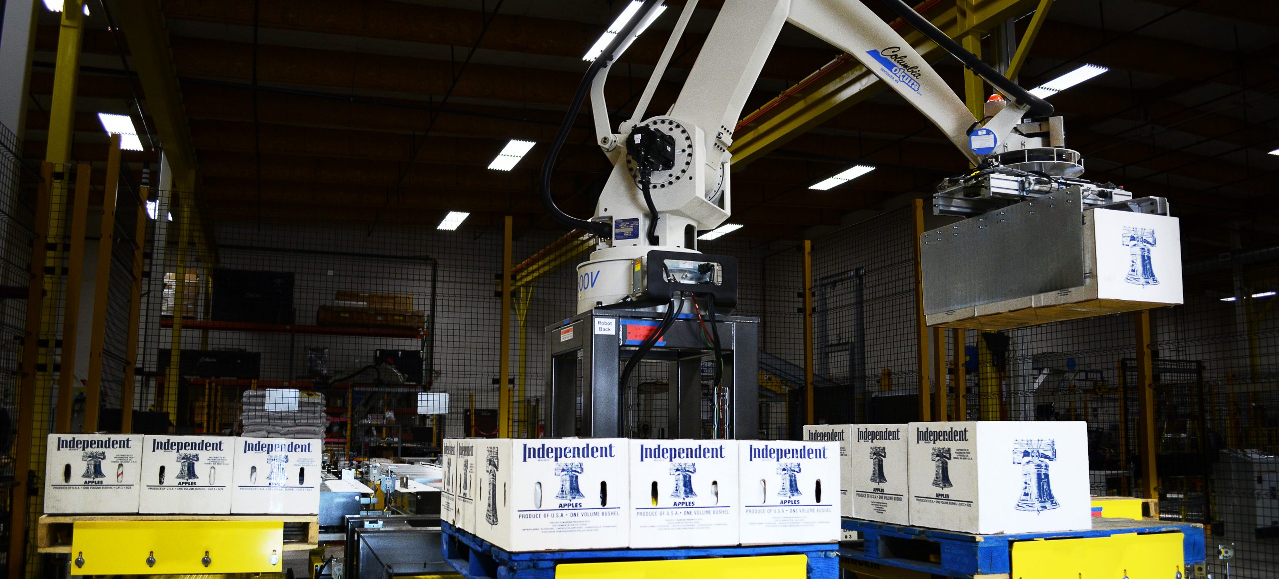 Columbia/Okura robotic palletizer moves boxes from a conveyor onto a pallet