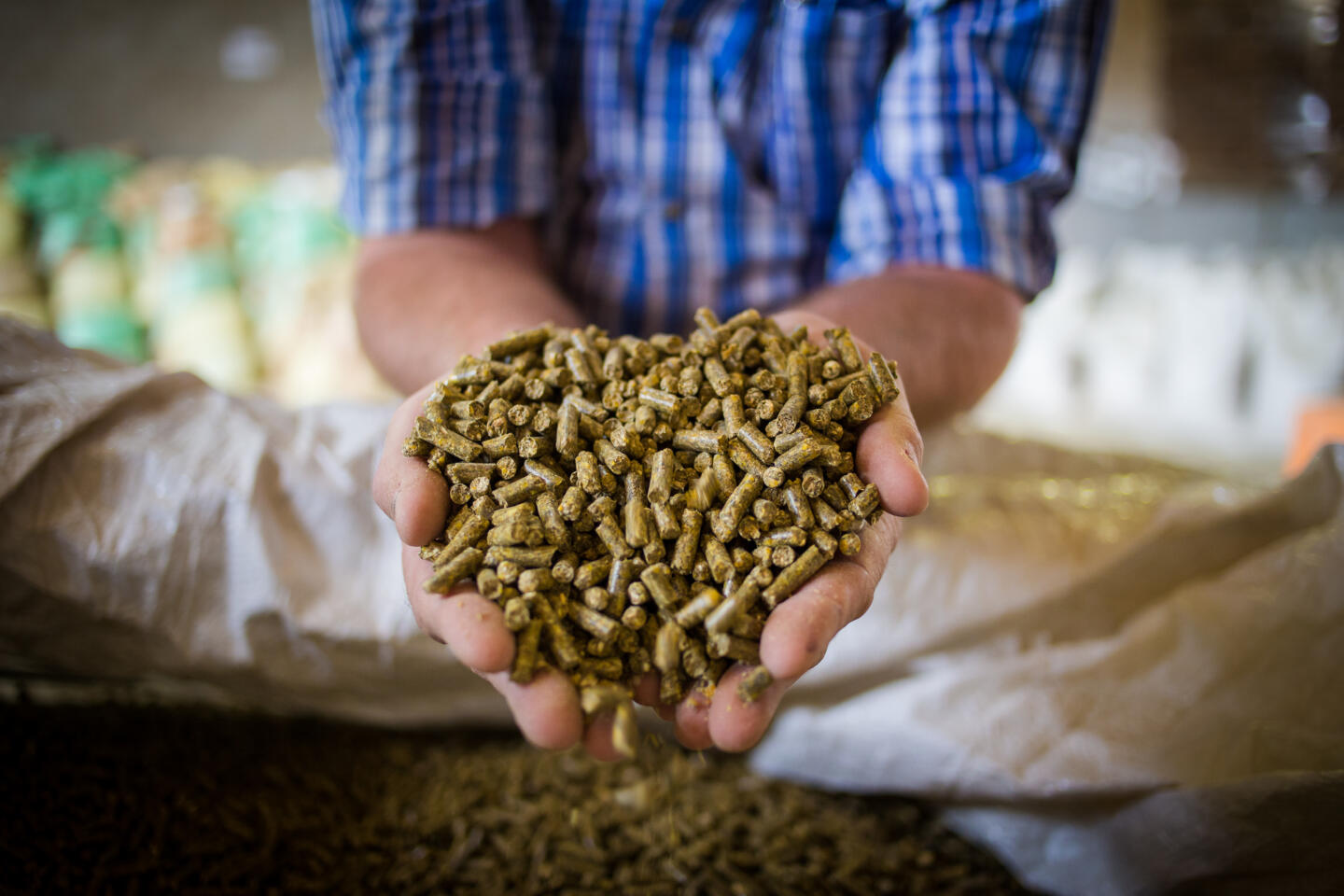 Close up image of hands holding animal feed at a stock yard